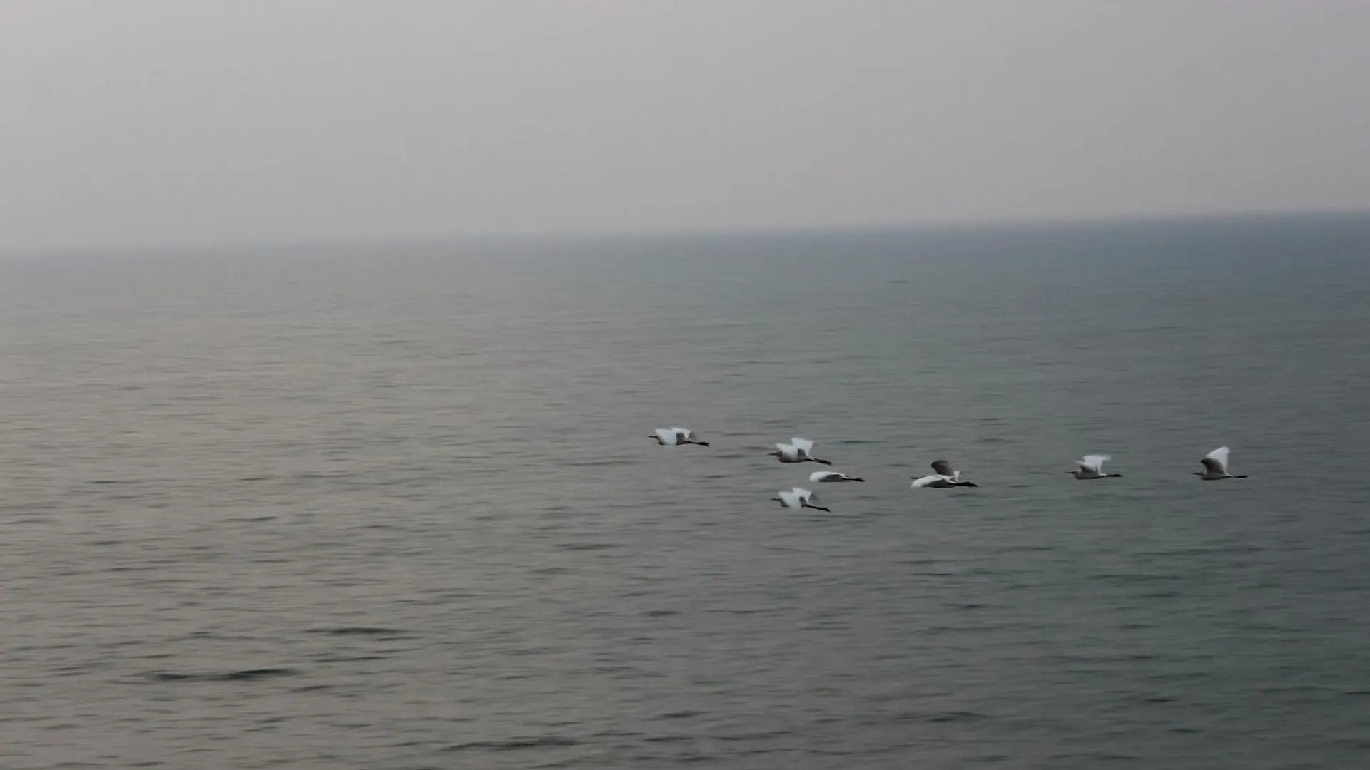 Airport Luxury Ocean Condos Negombo Apartment